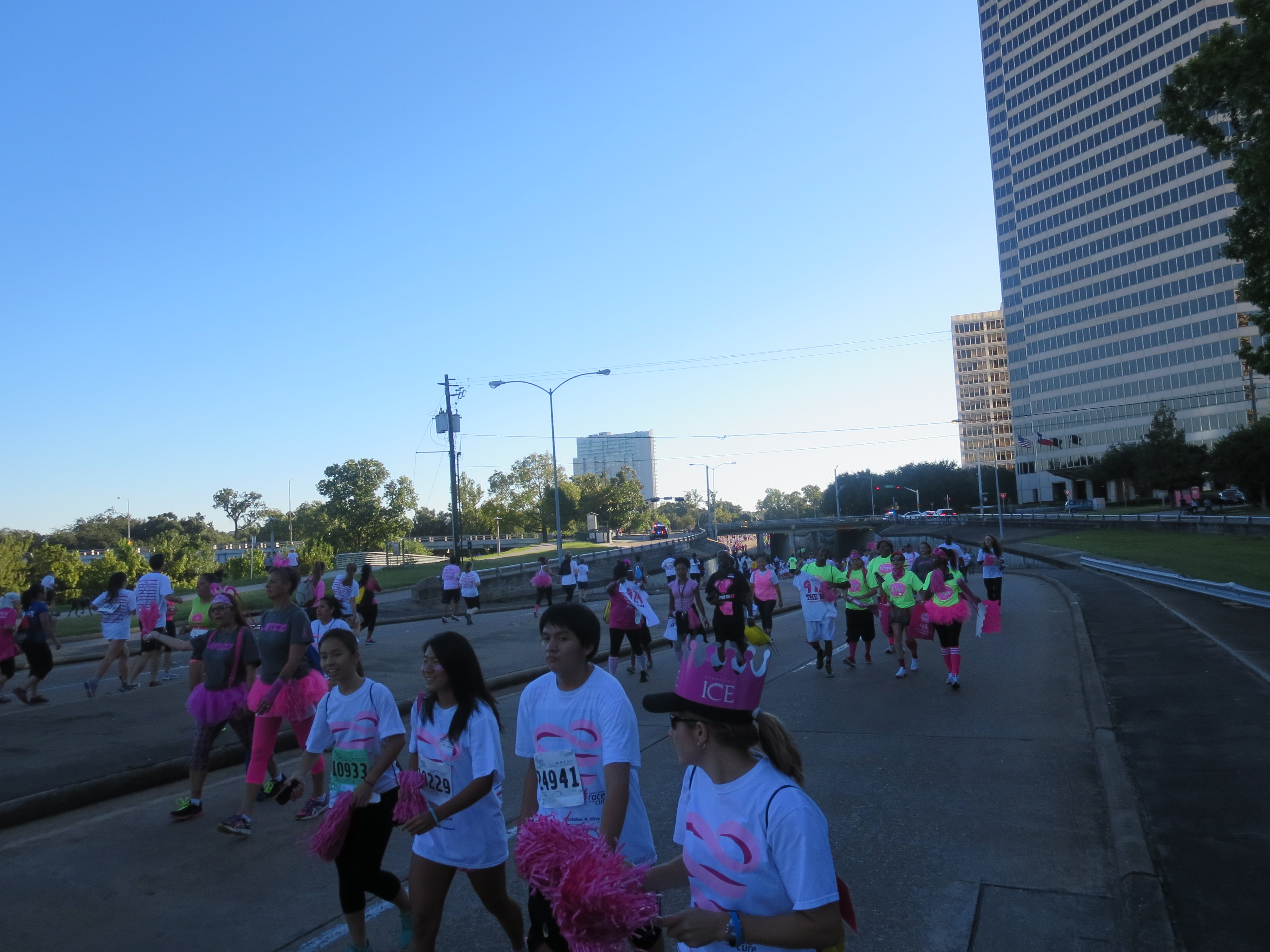 2014 Susan B Coleman Walk For The Cure Hosted By J Mac [PHOTOS]