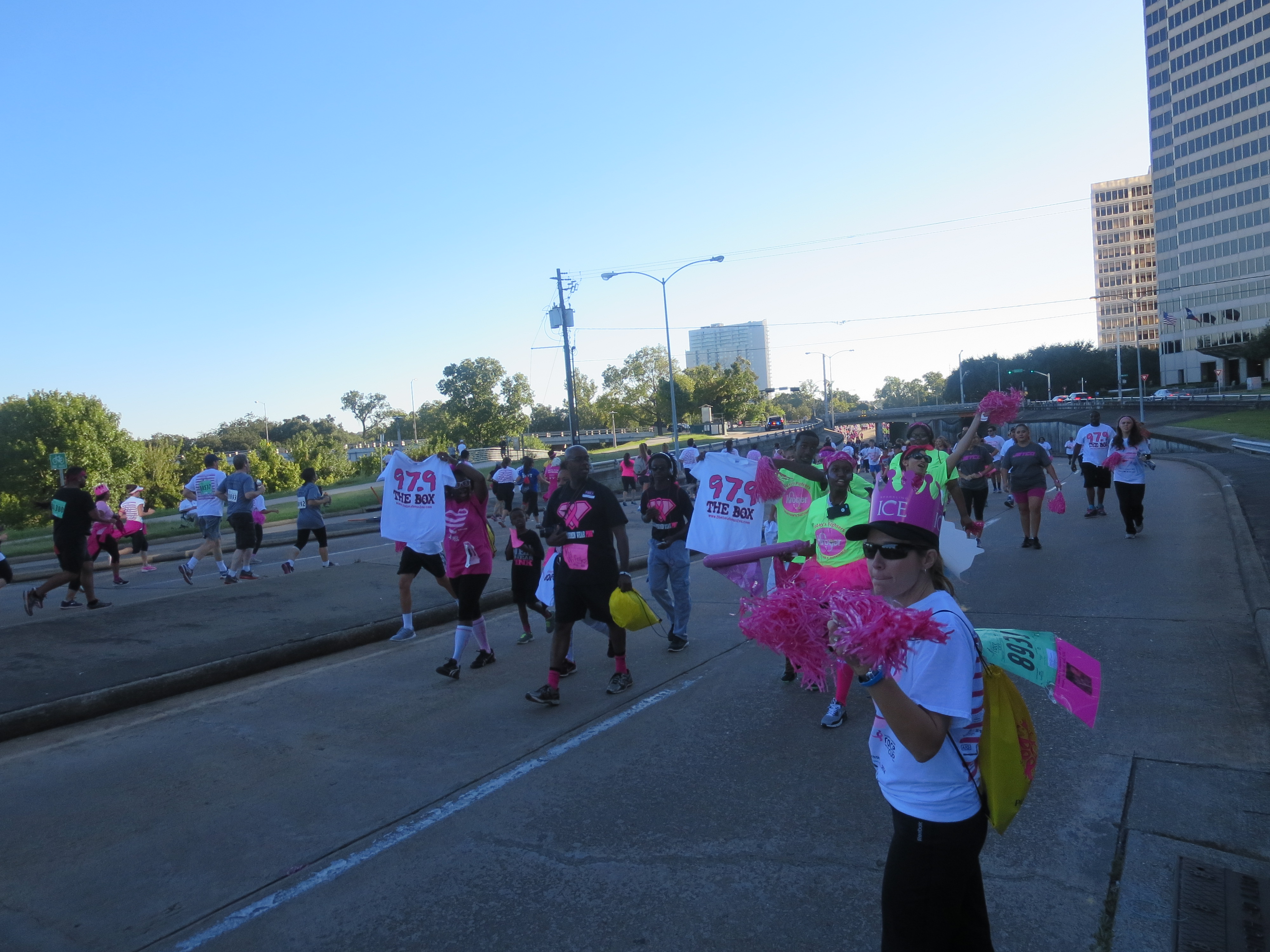 2014 Susan B Coleman Walk For The Cure Hosted By J Mac [PHOTOS]
