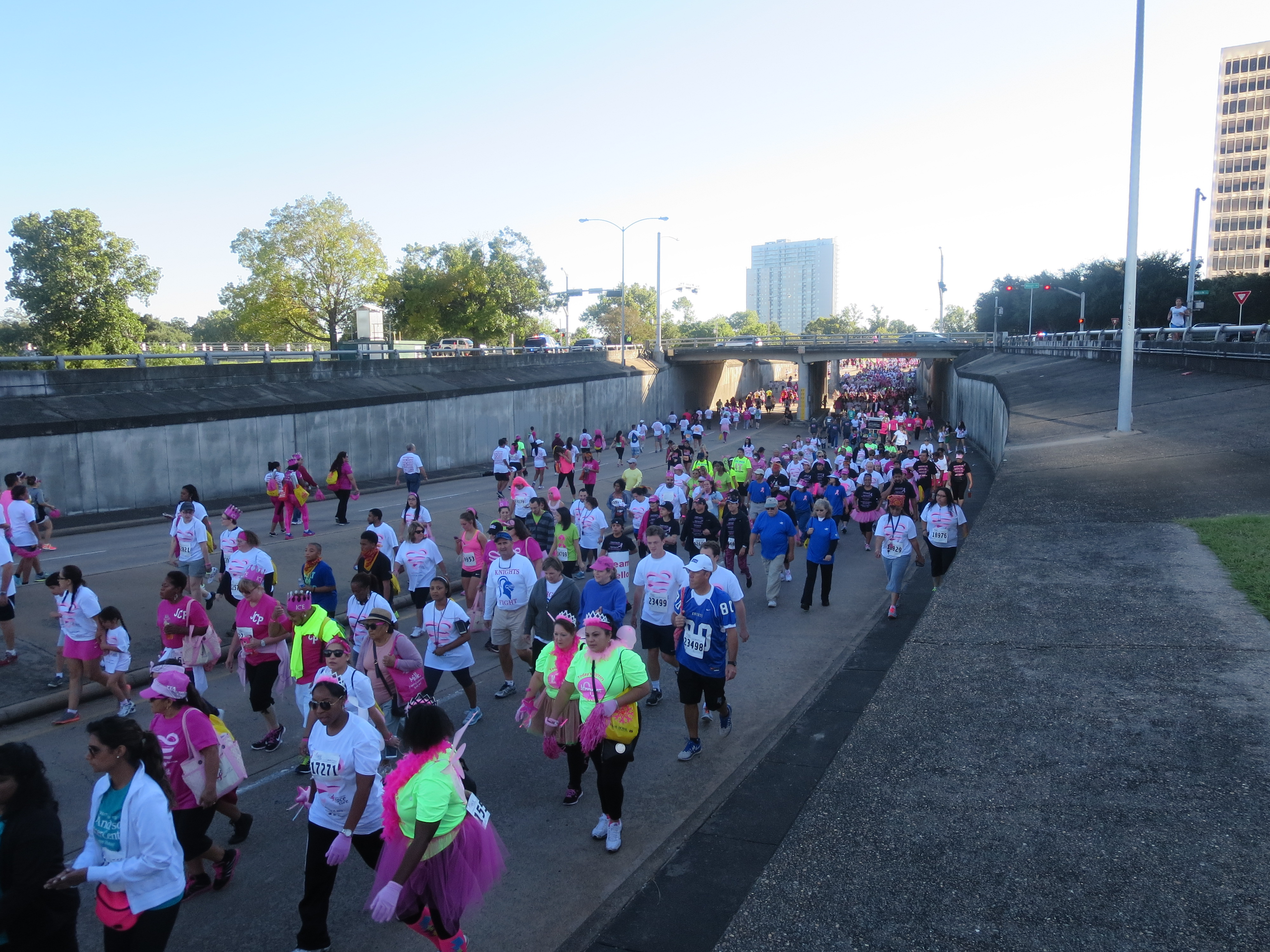 2014 Susan B Coleman Walk For The Cure Hosted By J Mac [PHOTOS]