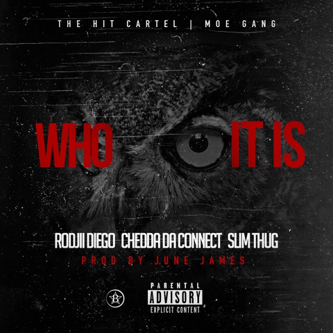 WHO IT IS COVER-2