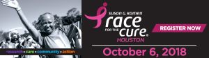 Access Houston 9.30.18