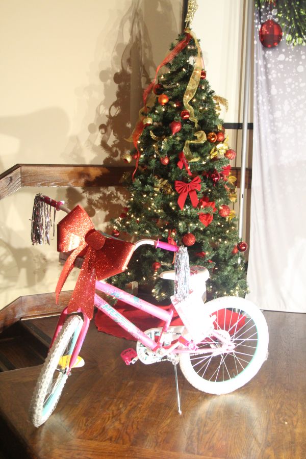 Hatta's Elves Bike Giveaway 2018