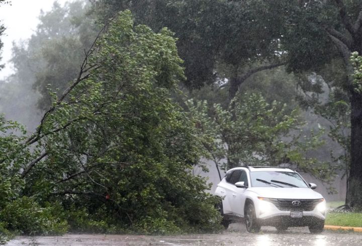 Hurricane Beryl Spring