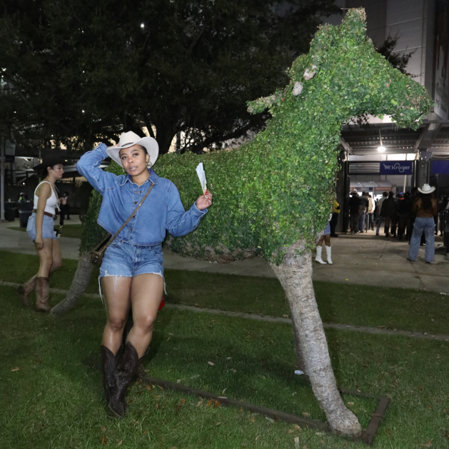 Rodeo Houston